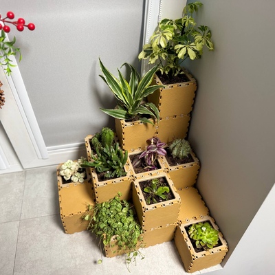 Mini Gardens - Gallery